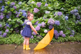 紫陽花の前で傘を持つ少女